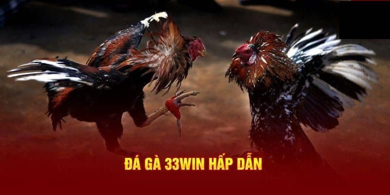 Đôi nét về đá gà cựa dao 33win